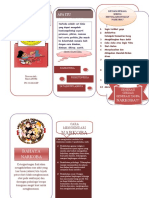 Leaflet Narkoba Pada Remaja Ria Safitri