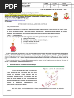 Atividades de Estudo Orientado 8º Ano | PDF | Tempo | Matéria