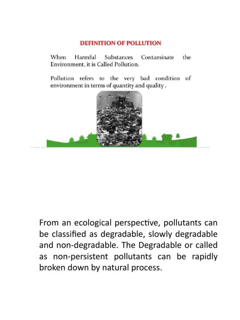 Types and Effects of Pollution Explained | PDF
