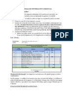 Sistema de Información Gerencial, Materia