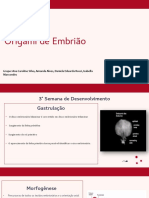 Apresentação de Embriologia ( geral)