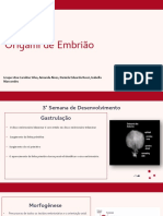 Apresentação de Embriologia (Geral)