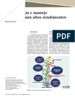 Ecofisiologia e Manejo de Milho para Altos Rendimentos