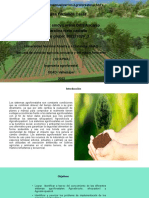 Unidad 1 Tarea 1 Conseptualizacion Agroforestería SAFs