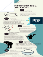 Bioquímica del lactato y la acidosis metabólica durante el ejercicio