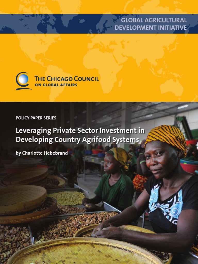 Investments in Agriculture | PDF | Foreign Direct Investment ...