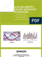 Aislamiento y Caracterización de ADN