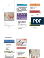 Leaflet Bayi Prematur PDF Free