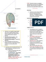 Chest Trauma: Anatomy of The Chest Cavity and Its Organ Breathing