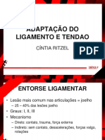 Curso de Biomecânica - Aula 11 - Adaptação Muscular e Lesões