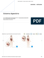 Sistema digestório - Anatomia, órgãos e funções _ Kenhub