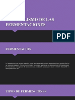 Metabolismo de Las Fermentaciones