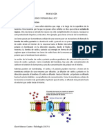 FISIOLOGÍA TAREA 1