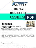 Tenencia Judicial