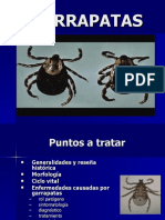 Tema Garrapatas