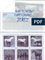 Lotto Sobre Jerez y La Provincia de Cádiz