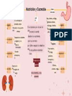 Mapa Conceptual de La Nutricion 7