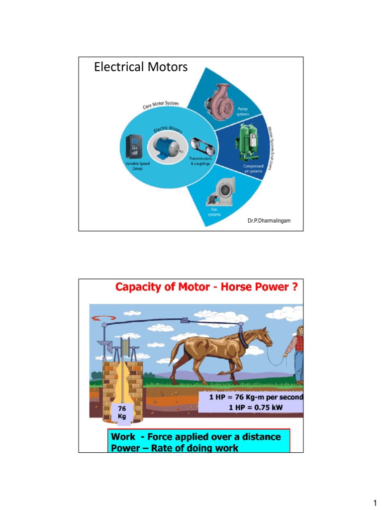 Energy Efficiency in Electric Motors | PDF | Electric Motor | Gear