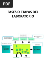 Clase 6 Fases Del Laboratorio