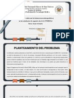 PROYECTO