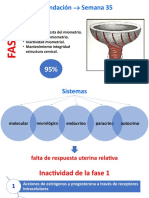 Fases del parto: Inactividad uterina en la semana 35