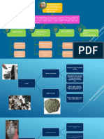 Mapa de Clasif de Elme