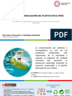 01 PPT Plastico 2021