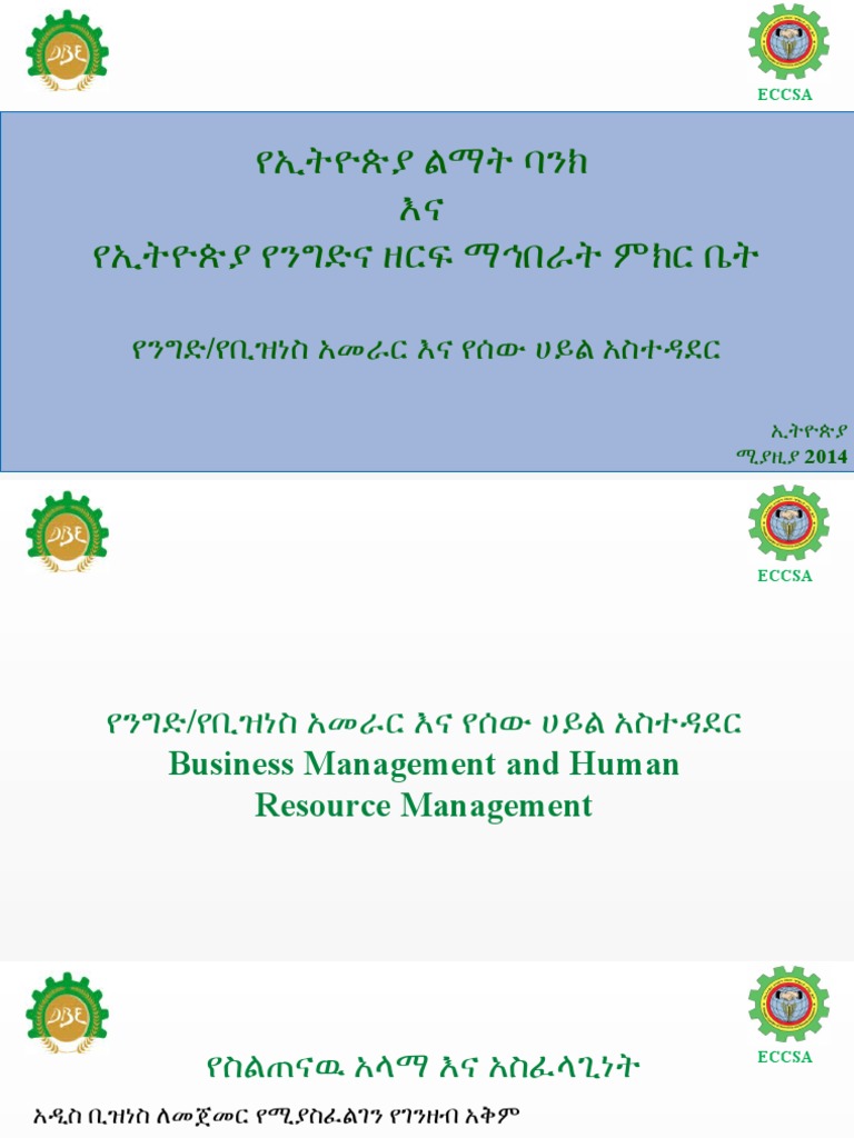 26-0584857 - MAINSAIL BVI PROPERTY MANAGEMENT, LLC visual data 2