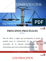 S3. Principios Del Proceso Civil