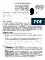 La Configuración de La Forma Fonética