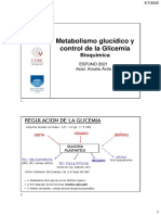 Clase 03 Metabolismo Glucidico y Control de La Glicemia
