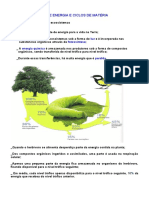 Fluxos de energia e ciclos de matéria nos ecossistemas