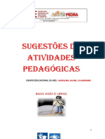 Atividades pedagógicas para baixa visão e Libras