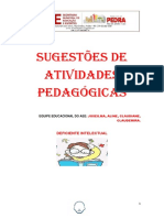 ATIVIDADES DE DEFICIÊNCIA INTELECTUAL PDF