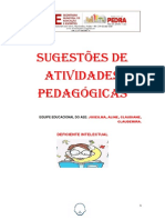 Atividades de Deficiência Intelectual PDF