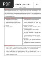 FICHA DE SEGURANÇA   DA GRUA