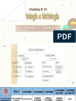 Embriología e Histología