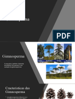 Gimnosperma: Características e classificação