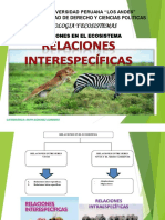 Relaciones ecosistema universidad Los Andes catedrática Ruth Sánchez