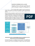 Determinantes Económicos en La Salud - Shirley