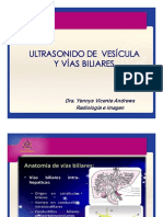 Ultrasonido de Vesicula y Vias Biliares