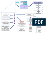 Mapa Conceptual