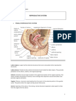 REPRODUCTIVE ANATOMY