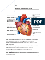 Vocabulary of Cardiovascular System: Ingles Medico Ii - Clase 2