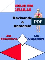 Anatomy Completo