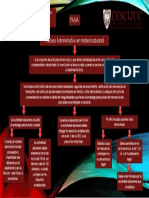 PAMA Diagrama