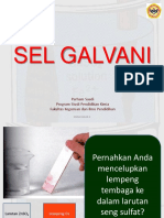 4 Sel Galvani