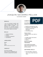 CV Joaquín Navarro Pelliza