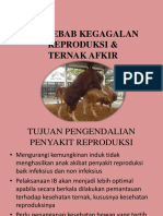 Penyebab Kegagalan Reproduksi & Ternak Afkir