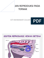 REPRODUKSI TERNAK